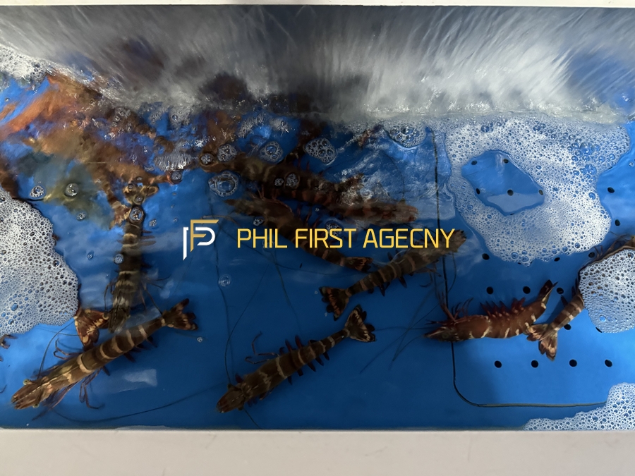 7af8d05d2ab20a69773575add0600aed_1743427358_7628.jpg 7af8d05d2ab20a69773575add0600aed_1743427358_7628.jpg